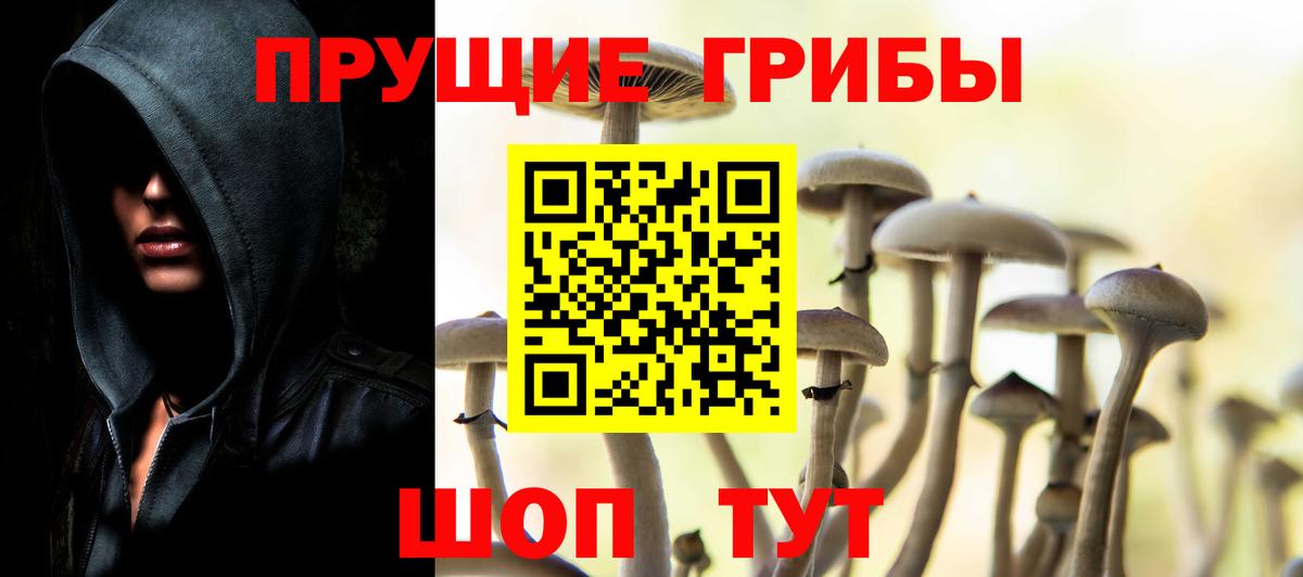 Галлюциногенные грибы Cubensis Усолье-Сибирское
